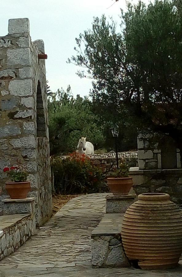 Ferienwohnung Charouda Stone Tower Pírgos Dhiroú Exterior foto